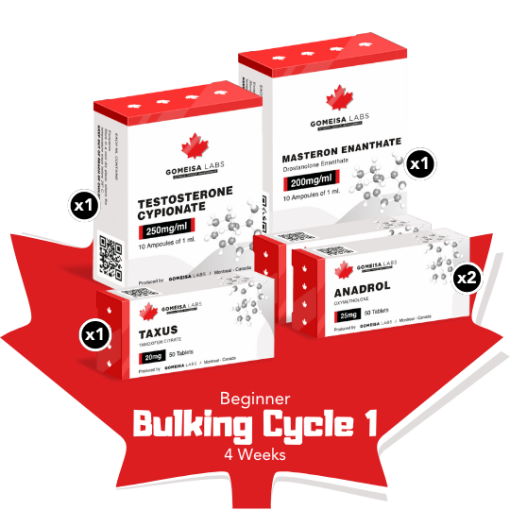 Beginner Bulking Cycle 1 (4 Weeks)
