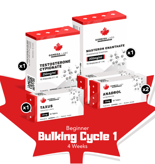 Beginner Bulking Cycle 1 (4 Weeks)