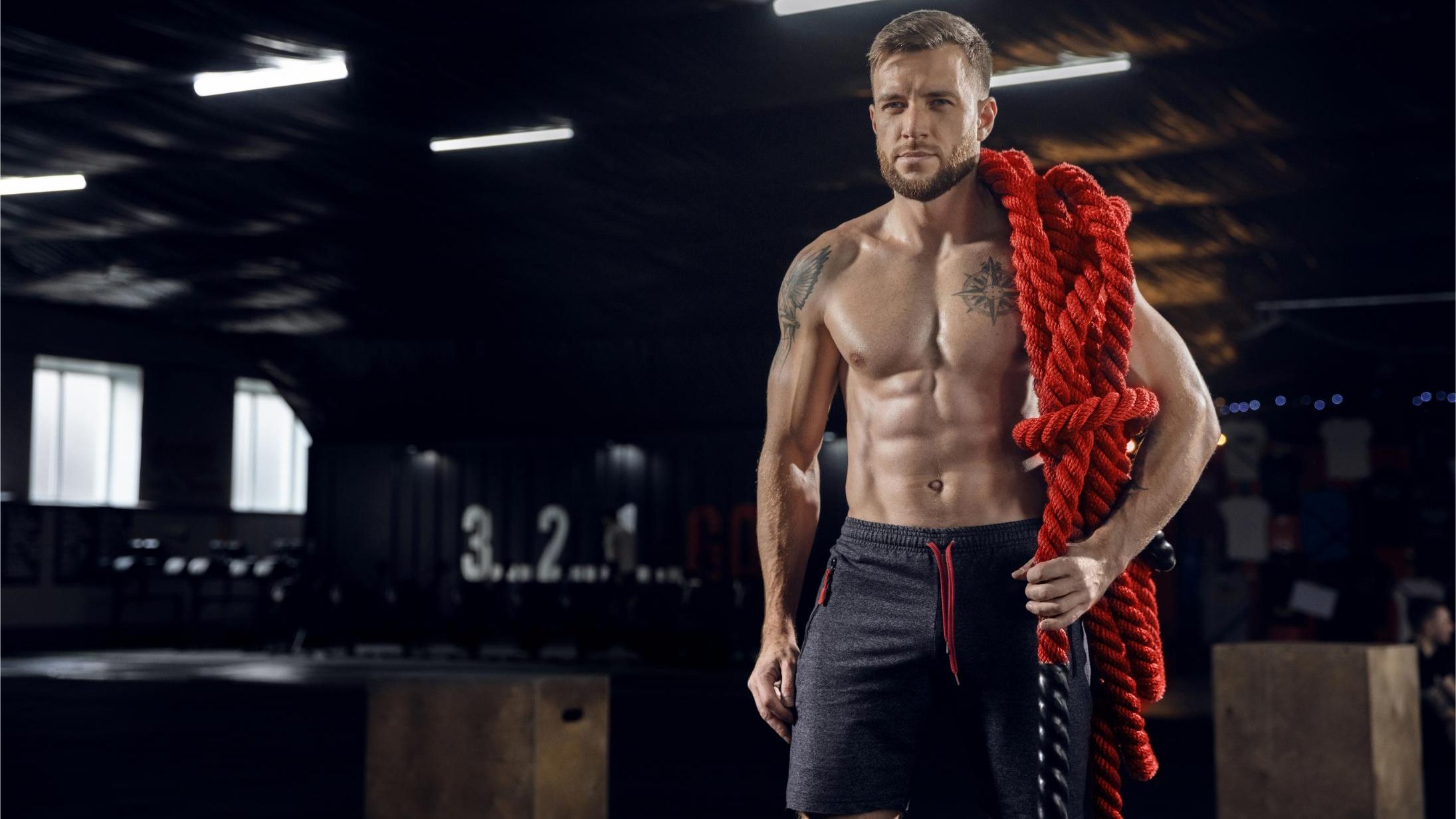 What are anabolic steroids? Guide 3